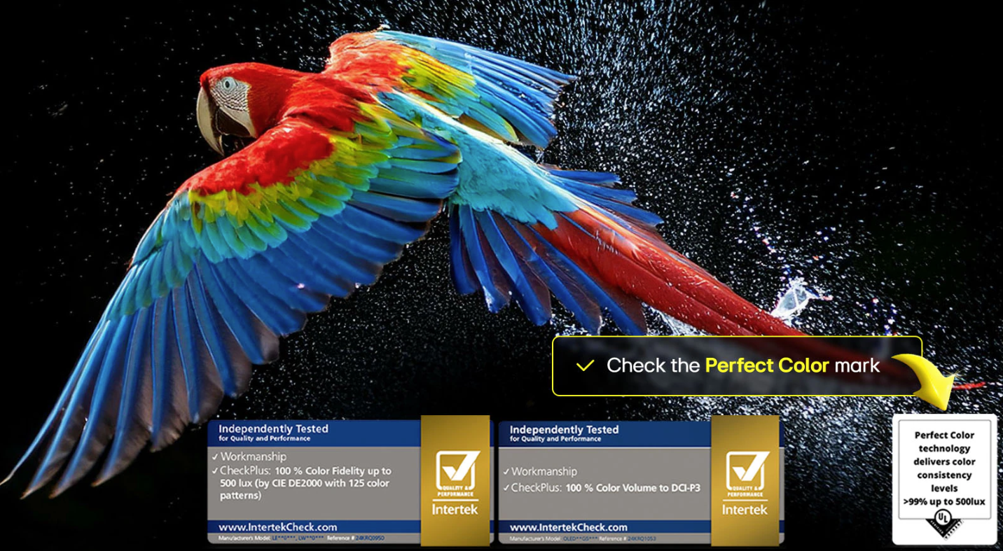 Εκπληκτικά χρώματα