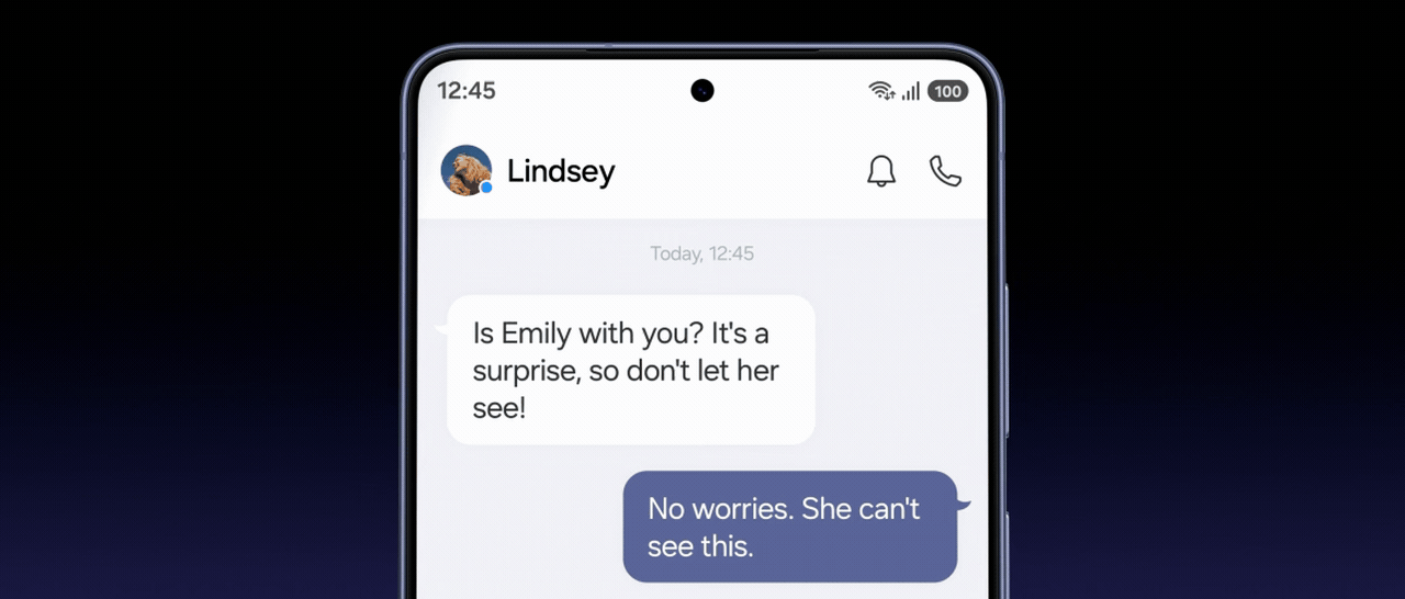 Integrated privacy display